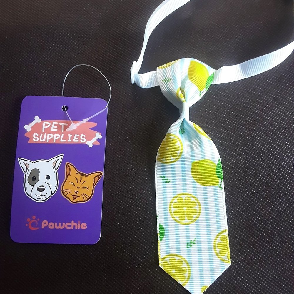 New Pawchie lemons dog collar tie, puppy, cat
